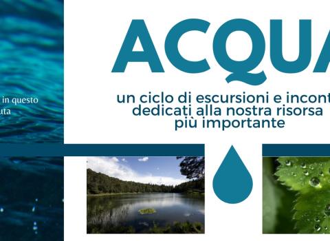 ACQUA