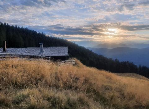Alpeggi alle pendici del Lagorai