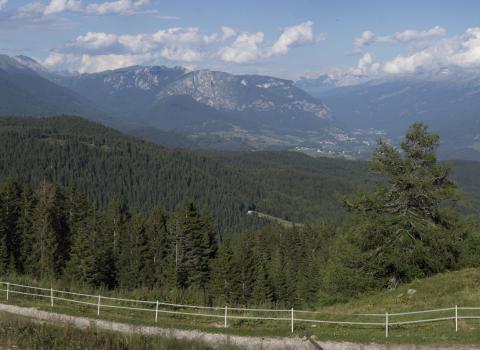 Le torbiere d'alta quota del Monte Corno