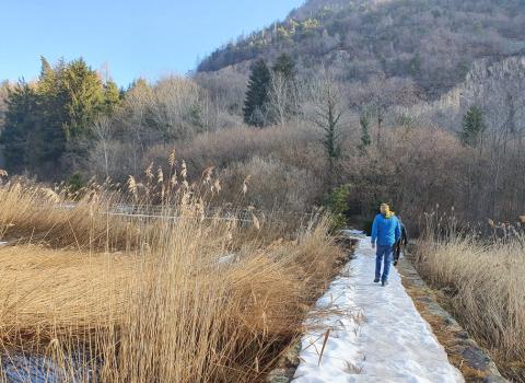 Il Lago di Lases e le “buse del giaz”