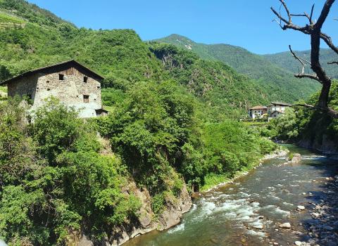 Paesaggi di vite