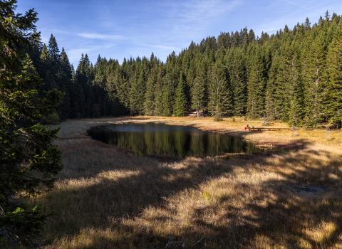 Le torbiere d'alta quota del Monte Corno