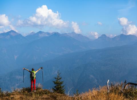 Le torbiere d'alta quota del Monte Corno