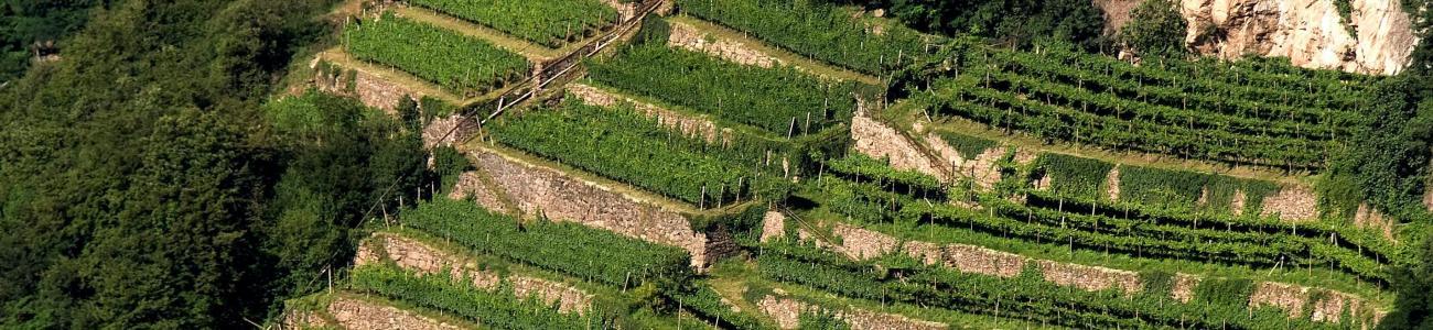La Natura è (a) casa tua