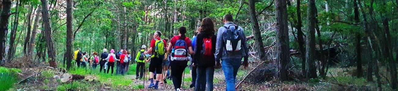 Le iniziative di agosto nella Rete di Riserve Val di Cembra-Avisio