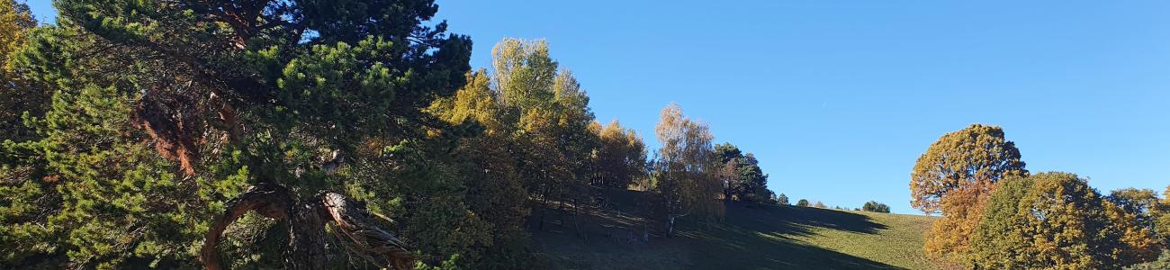 Albiano biodiverso
