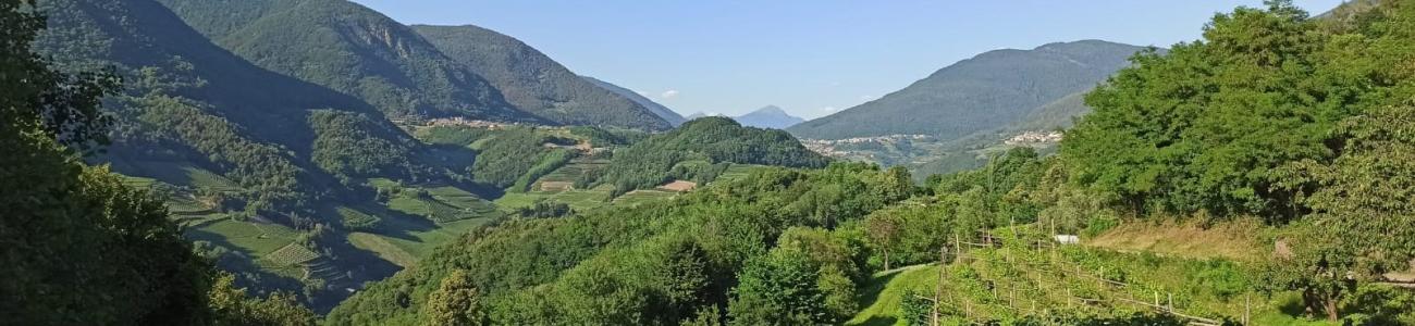 Giro del Monte Gorsa
