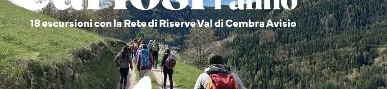 Curiosi tutto l'anno 2025